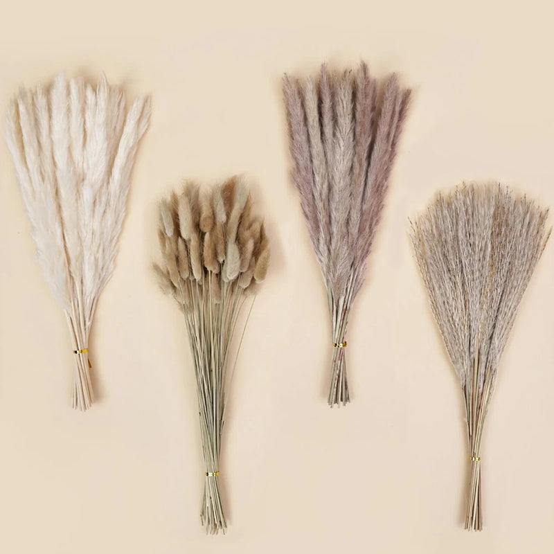 DomeStar 130PCS Dried Pampas Grass Bulks Fall Decor, 18" Natural Bunny Tail G... Pampas Grass