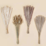 DomeStar 130PCS Dried Pampas Grass Bulks Fall Decor, 18" Natural Bunny Tail G... Pampas Grass