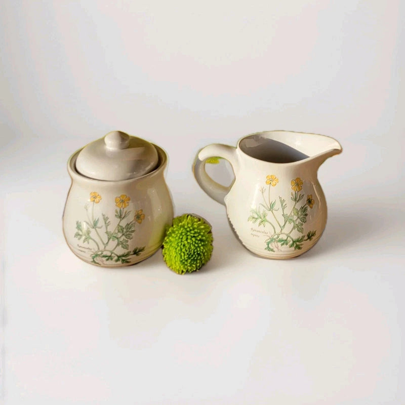 Sugar Bowl and Creamer Set Rose of England Petite Ranunculus Repens (Buttercups) Ranunculus