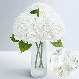 21" Real Touch Hydrangea Artificial Flowers with Long Stem & 3pcs White Hydrangea
