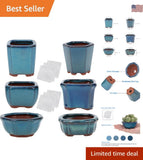 6 Piece Mini Glazed Succulent Pots with Drainage Holes Ð Perfect for Bonsai Garden Plants