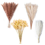 100PCS Natural Dried Pampas Grass Decor - 17" Fluffy Pampas Grass Bouquet - B... Pampas Grass