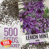 Lemon Mint Seeds for Planting Heirloom Monarda Citriodora Herb Garden Garden Plants