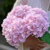 5 Pcs Faux Silk 18.5" Pink Hydrangea Artificial Flowers, Fake Flowers Hydrangea