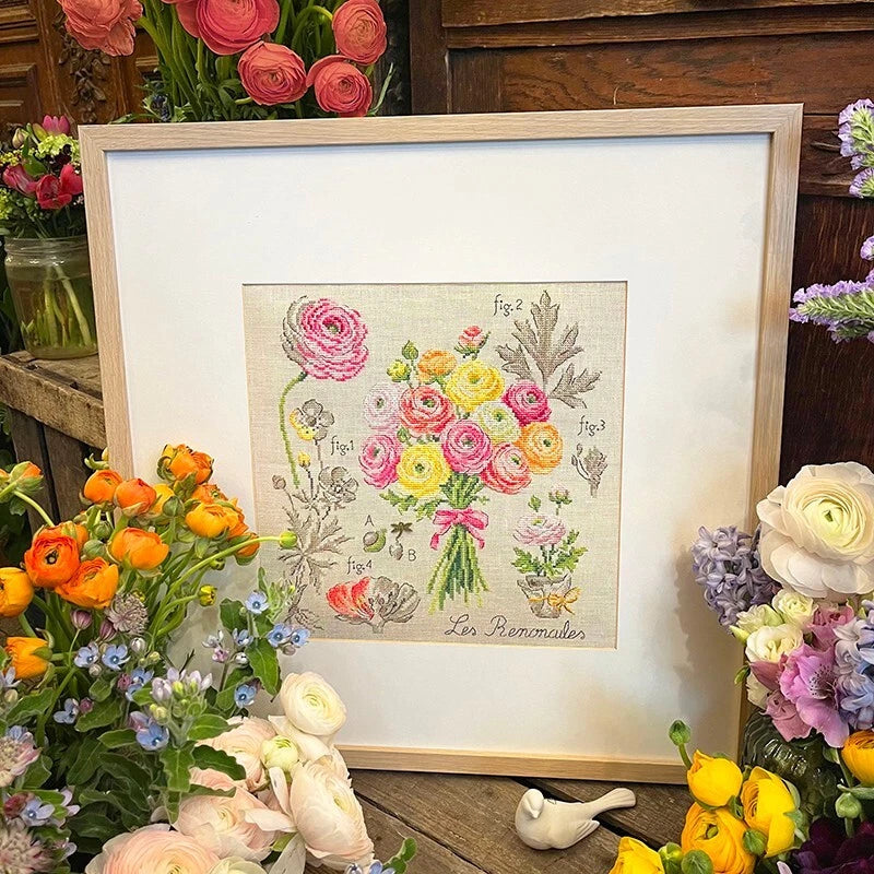 LBP French Cross Stitch Semi Kit ƒtude aux renoncules Ranunculus Study Ranunculus