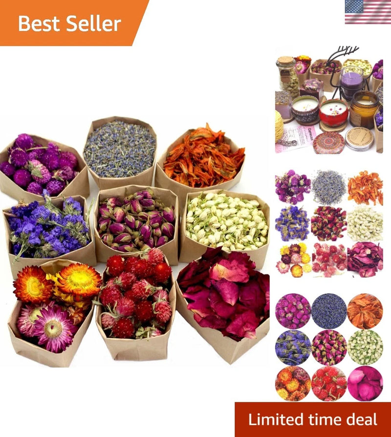 Variety of dried flowers in paper packs, assorted purple, blue, orange, red, pink blooms