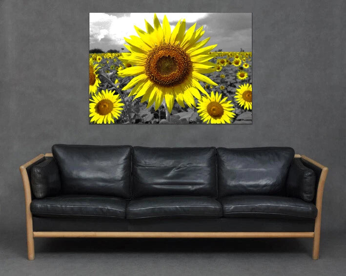 Yellow Sunflower Flowers Greyscale Field Bright Happy Canvas Art Print Picture Sunflower