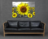 Yellow Sunflower Flowers Greyscale Field Bright Happy Canvas Art Print Picture Sunflower