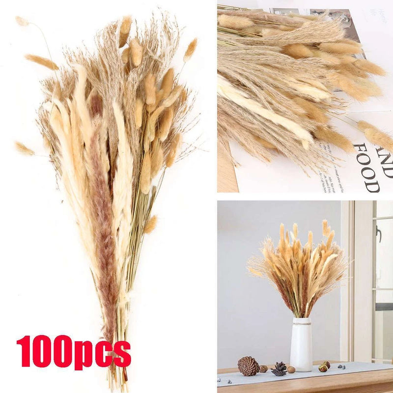 100 PCS Pampas Grass Natural Dried Reed Flower Bunch Home Wedding Decor Bouquets Pampas Grass