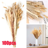 100 PCS Pampas Grass Natural Dried Reed Flower Bunch Home Wedding Decor Bouquets Pampas Grass