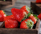 100+Red Strawberry Seeds Big Flesh Fruit Perennial Container Garden USA Garden Plants