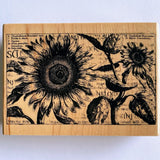 Inkadinkado Gardenia Mounted Rubber Stamp 92249 Looks Like Sunflowers 5Ó Sunflower