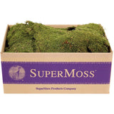5 lbs Natural Dried Sheet Moss - Perfect for Gardens, Crafts and Centerpieces Green Plant