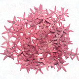 Purple Small Pressed Flowers Ð 100% Organic & Natural for Resin Crafts DIY Dried Flower