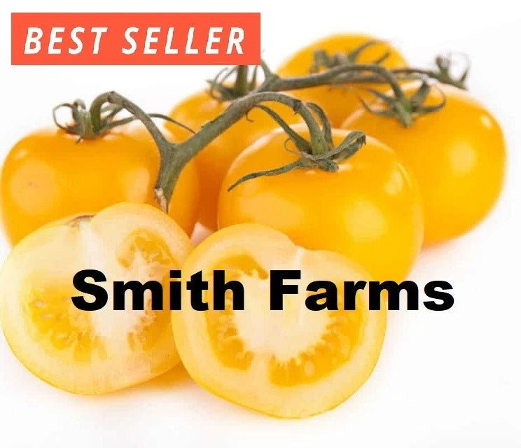 50+ Seeds Lemon Boy Tomato Tasty Juicy Easy to Grow Vegetable Garden Planting Garden Plants