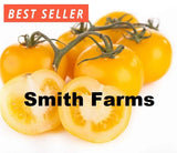 50+ Seeds Lemon Boy Tomato Tasty Juicy Easy to Grow Vegetable Garden Planting Garden Plants