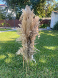 48 Stems Natural Pampas Grass 55Ó Tall Dried Wedding Event Decor Boho Wholesale Pampas Grass