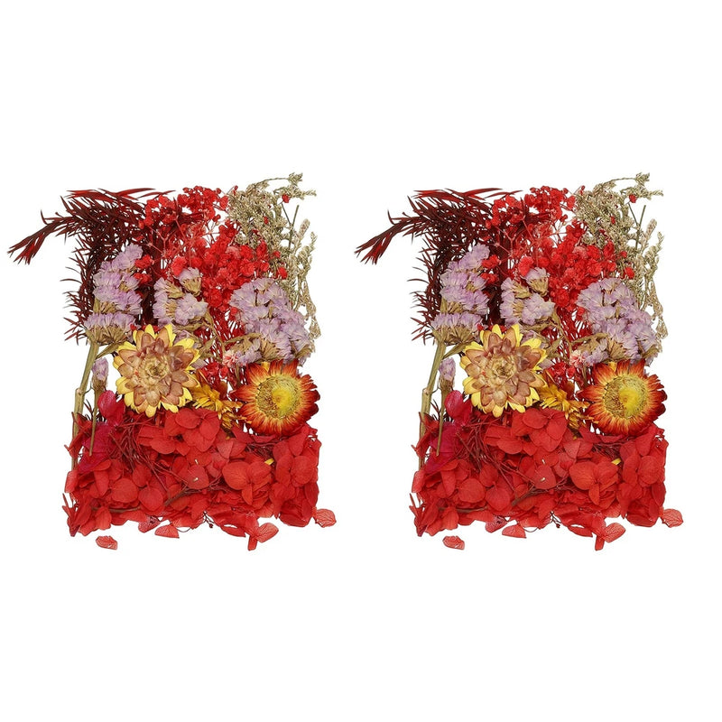Red dried pressed flower set with assorted blooms (two-pack)