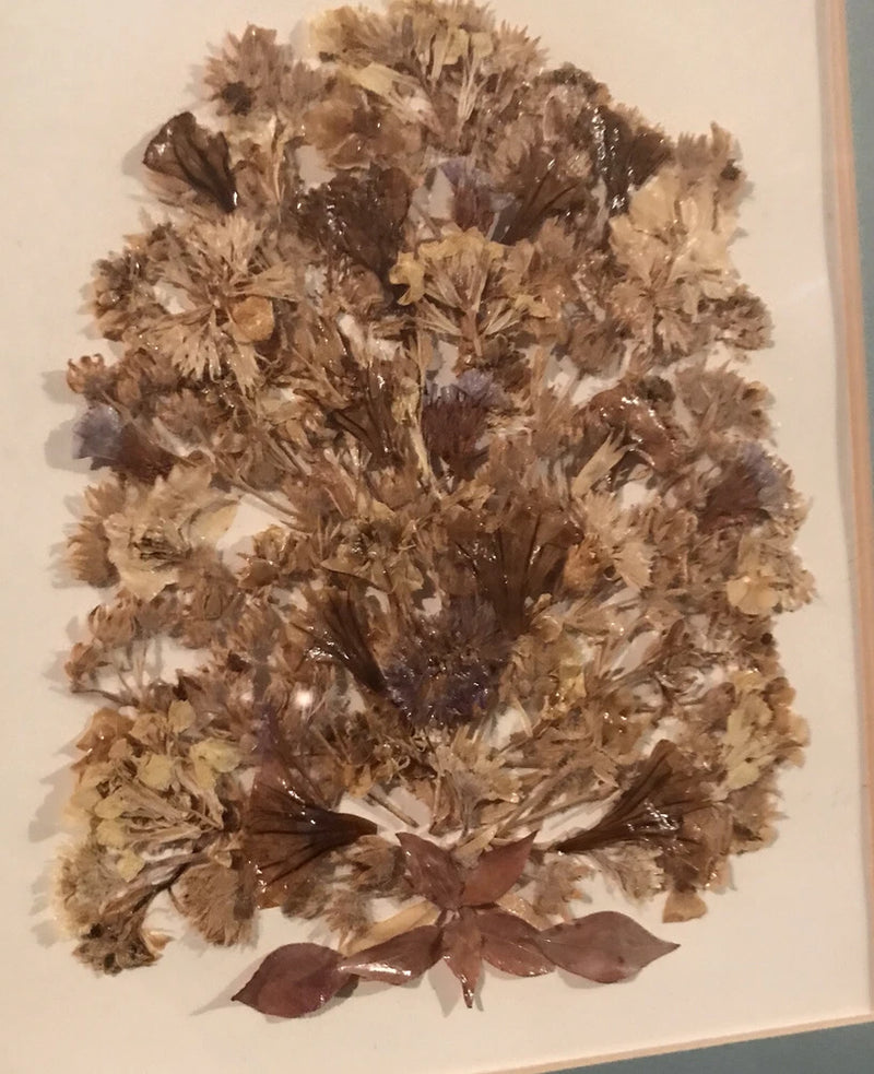 Framed pressed dried flower floral artwork with glass, circular bouquet in beige and brown