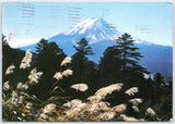 Mount Fuji Japan Vintage Postcard 1979 - Snow Peak, Pampas Grass Scenic Pampas Grass