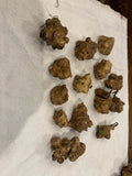 Jerusalem Artichokes Sunchoke Tubers from my "Organic"  New Jersey 1 lb Flowering Plants