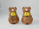 Vintage Pig Sunflower Flower Salt And Pepper Shakers Korea Sunflower