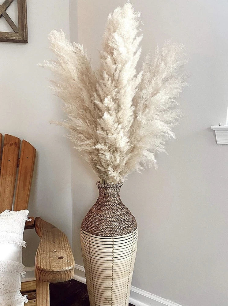 6 pcs FLUFFY XL Natural Beige Pampas Grass bundle Pampas Grass