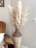6 pcs FLUFFY XL Natural Beige Pampas Grass bundle Pampas Grass