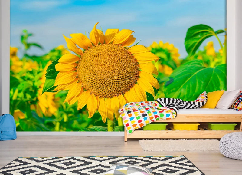 3D Sunflower Flower ZHUA157 Wallpaper Wall Murals Removable Self-adhesive Ann 24 Sunflower