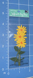 Jolees /JoleeÕs GARDEN FLOWERS- 3pc Sunflowers On Stem Sunflower