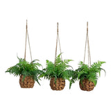Nearly Natural 10" UV Resistant Boston Fern in Hanging Wicker Basket - Set of 3 Green Plant