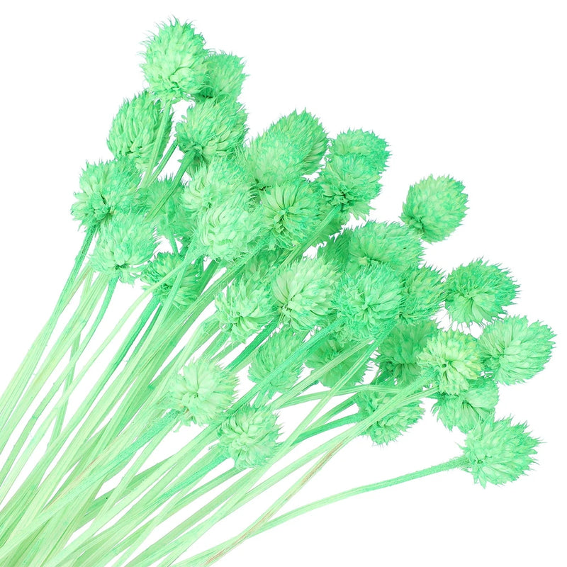 30 Pcs 16 Inch Dried Flowers for Vase Mini Pine Ball Flowers Green(Stem) Dried Flower