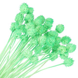 30 Pcs 16 Inch Dried Flowers for Vase Mini Pine Ball Flowers Green(Stem) Dried Flower