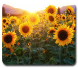 Sunflowers at Sunrise ~ Mousepad / Mouse Pad ~ Gardening Flowers Nice Gift Sunflower