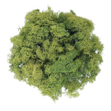 7oz Fake Preserved Reindeer Moss, Dark Green Green Plant