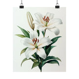 Boho White Oriental Lily Flower Art Print Poster, Minimalist Floral Wall Art 5 Lily