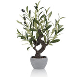 Artificial Olive Tree Potted Plant with Stone Pot, 19" Tall Japanese Bonsai T... Green Plant