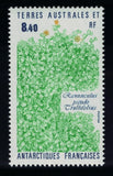 Plant 'Ranunculus pseudo trullifolius' FSAT TAAF 1990 MNH SG#266 MI#266 Ranunculus