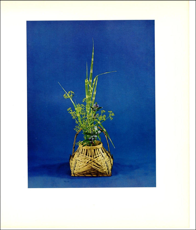 1965 Vintage Print Japanese Ikebana Moribana Flower Floral Pampas Grass Gentian Pampas Grass