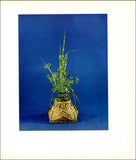 1965 Vintage Print Japanese Ikebana Moribana Flower Floral Pampas Grass Gentian Pampas Grass