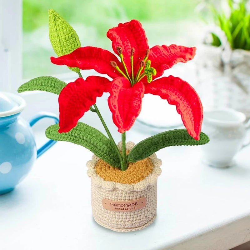 Knitted poinsettia-style flowers with red petals and green leaves in woven pot