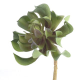 Set of 2 Artificial Indoor/Outdoor Succulent 6-1/2" Picks Green Plant