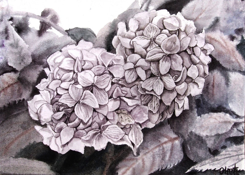 Original Art Watercolor Painting Flowers B&W Heart-shaped Hydrangeas Decor Gift Hydrangea