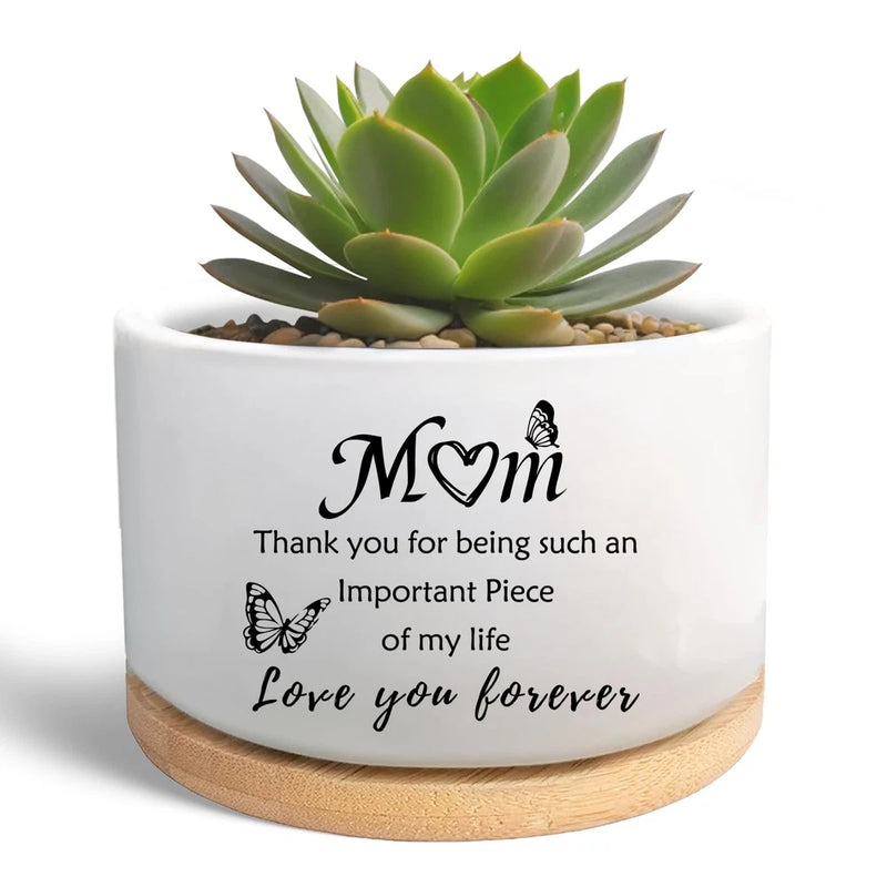 MBRUH Gardening Thank You Gifts for Mom, Succulent Plant 3.5 inches, White Garden Plants