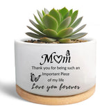 MBRUH Gardening Thank You Gifts for Mom, Succulent Plant 3.5 inches, White Garden Plants