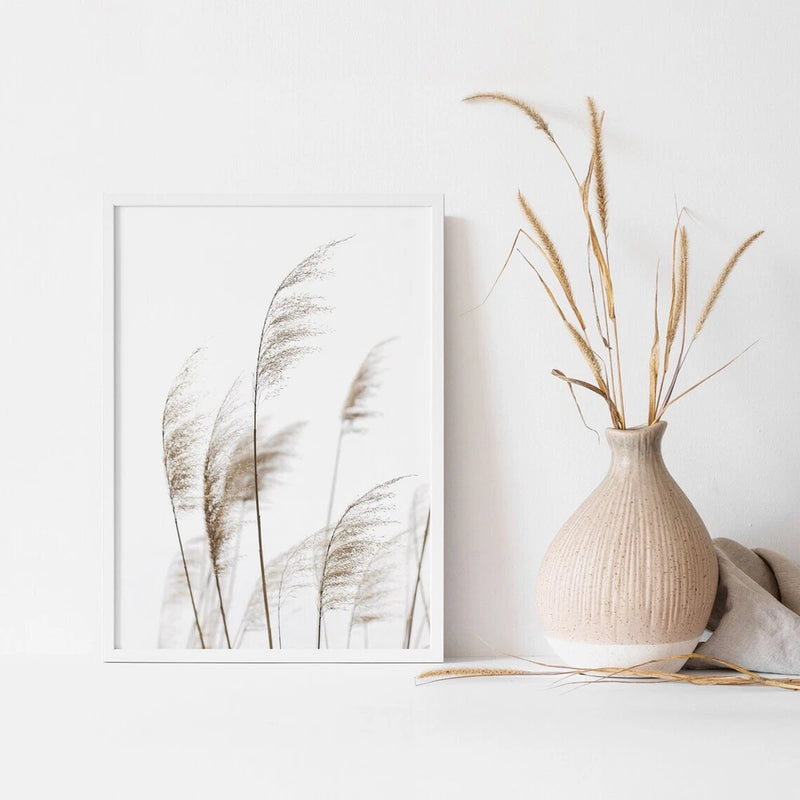 Botanical Pampas Grass Poster Premium Quality Choose your Size Pampas Grass