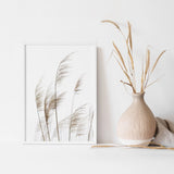 Botanical Pampas Grass Poster Premium Quality Choose your Size Pampas Grass
