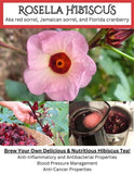 50+ Roselle Hibiscus Seeds Ð Tart Edible Calyxes & Stunning Red Blooms Garden Plants