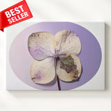 Canvas Hydrangea Oval Botanical Memory Some Beauty Soft Featuring Wall Art Hydrangea