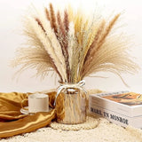 70 Pcs Natural Pampas Grass Decor, 17